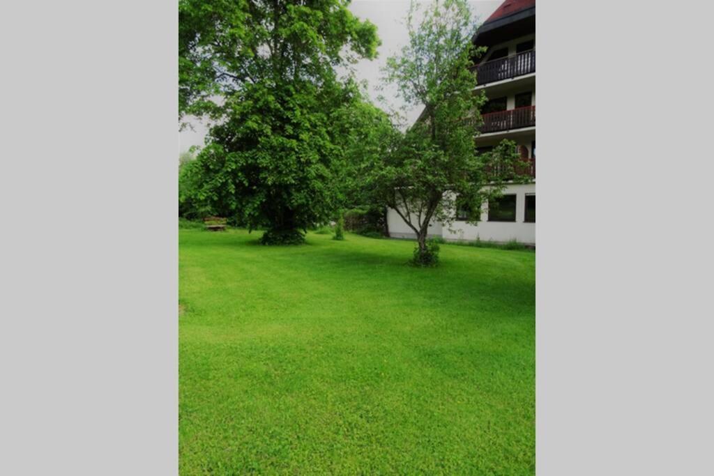 Modernes Apartment Mit Traumhaftem Blick Ins Gruene Braunlingen Luaran gambar